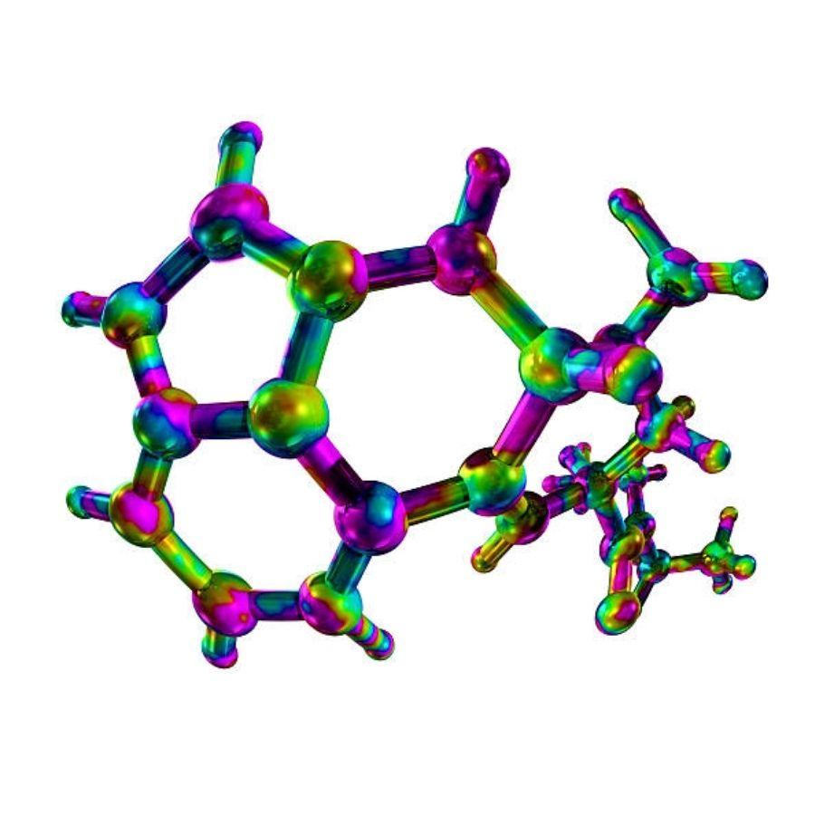 cortisol and the circadian rhythm