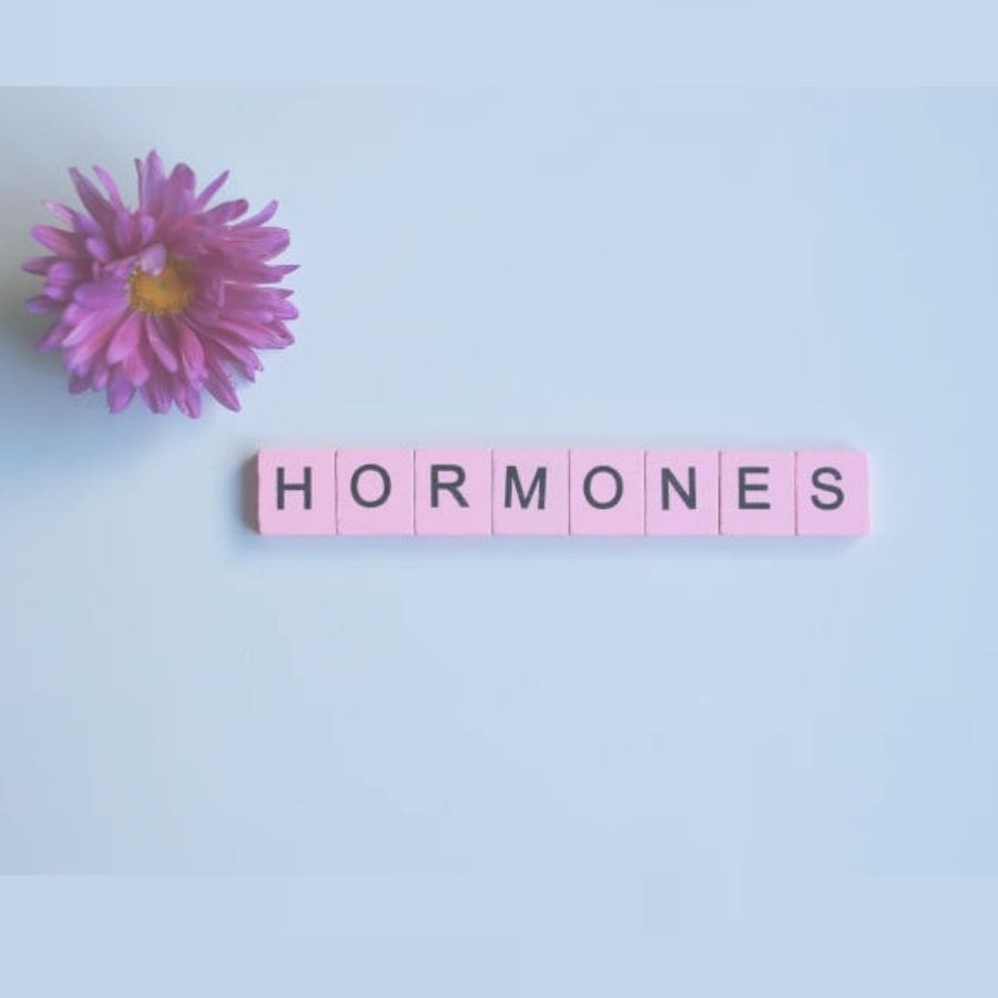 How Do Hormones Affect Human Wellness